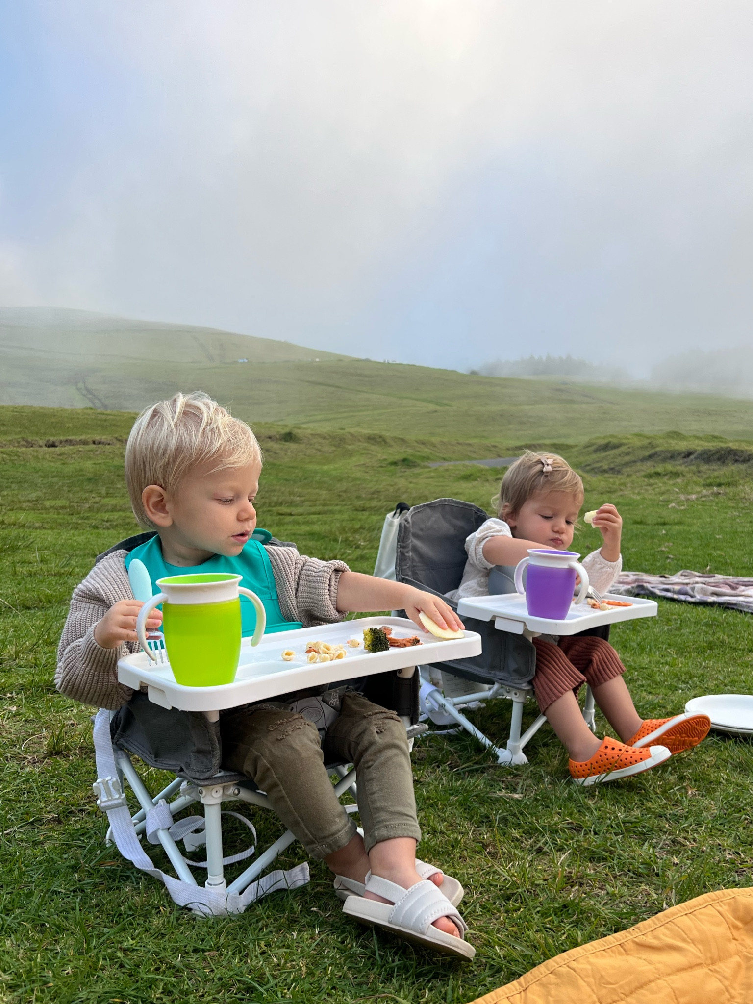 if you have little kids you need these - biggest sanity saver! we take them to the beach, picnics, to restaurants, etc! they make meal times out so much more relaxing for us. 

#LTKFind #LTKbaby #LTKfamily