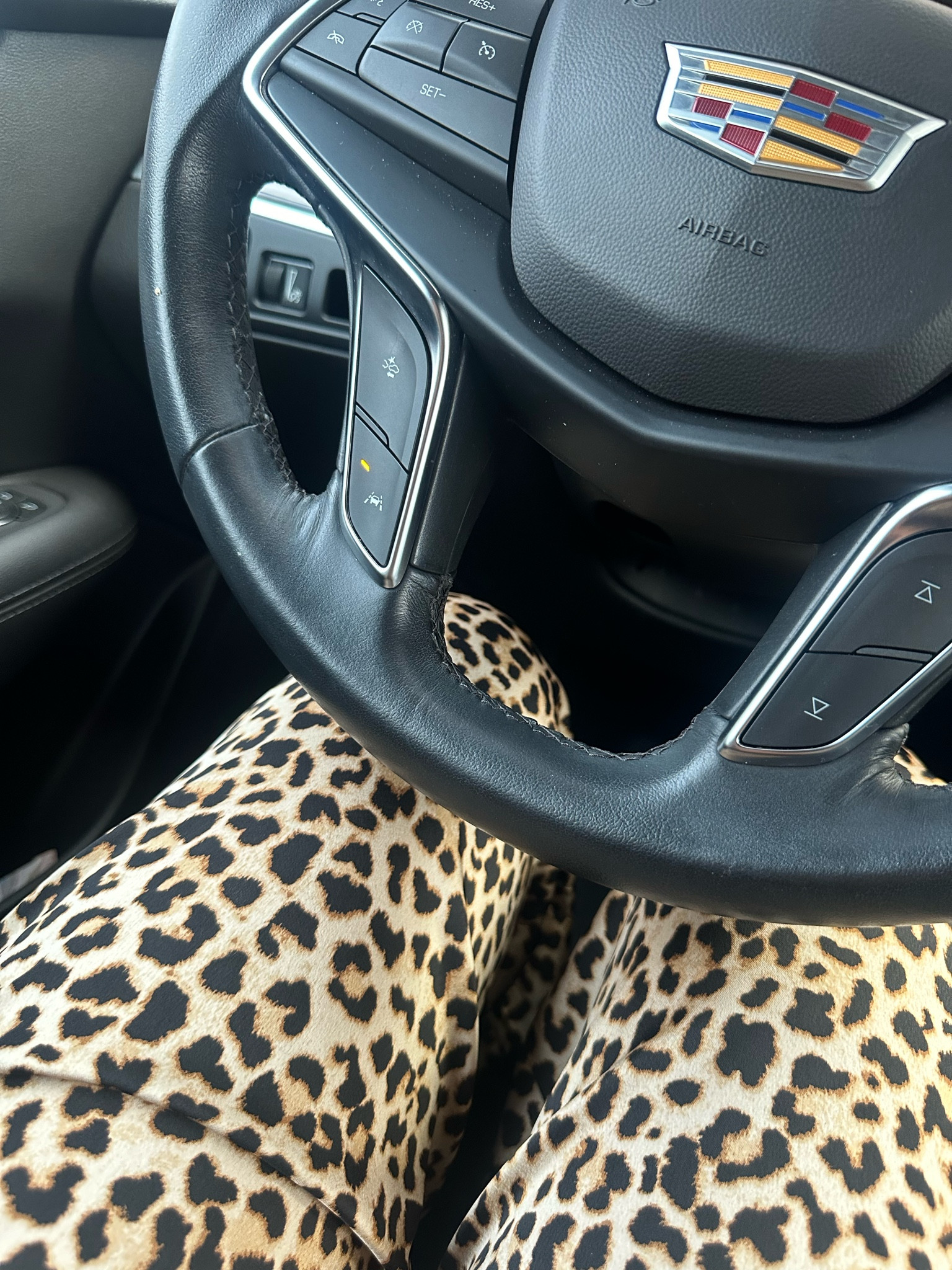 Silk target pants ❤️

#LTKHoliday #LTKBeauty #LTKWorkwear