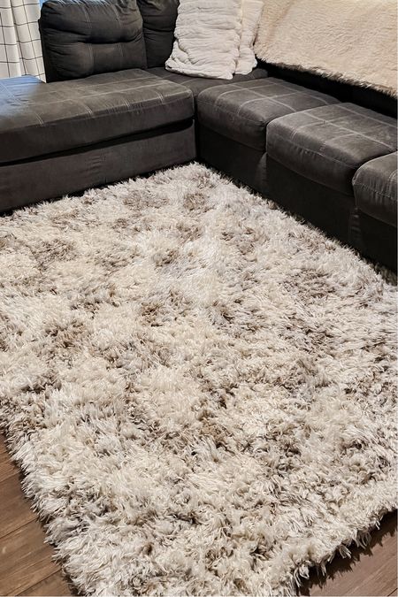 The Perfect Cozy Rug


#LTKhome