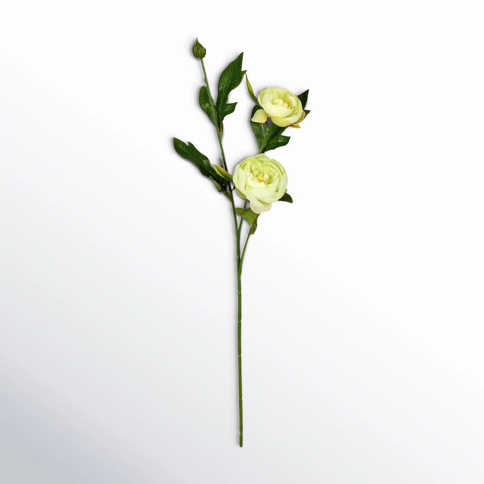 Birch Lane™ Delevan 16" Artificial Peony Spray & Reviews | Wayfair | Wayfair North America