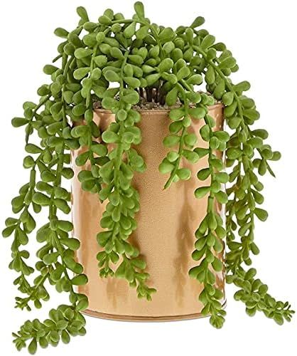 Juvale Potted Artificial Succulent, Modern Home Decor (4 x 6.5 Inches) | Amazon (US)