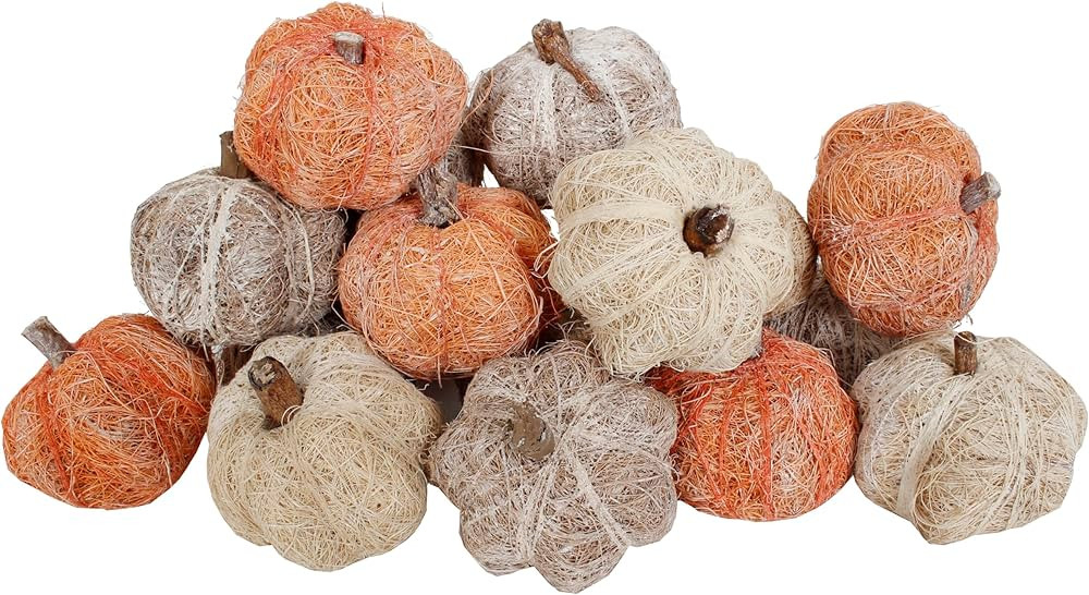 Dried Exotics Pumpkins 18 Pieces Assorted Bowl/Vase Filler for Fall, Thanksgiving and Holiday Dé... | Amazon (US)