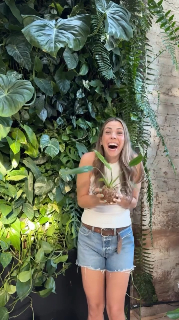 This might be the easiest kokedama tutorial ever.#LTKhome

#LTKSeasonal #LTKVideo