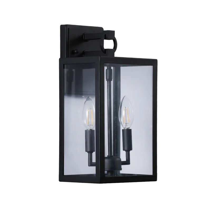 Ferrenby Black 2 - Bulb 14'' H Water Glass Outdoor Wall Lantern | Wayfair North America