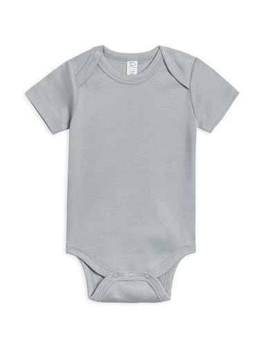 Colored Organics - Organic Cotton Baby Bodysuit - Short Sleeve Infant One Piece - Mist - 12-18M | Amazon (US)