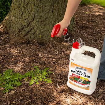 Spectracide Ready-to-Use 1-Gallon Trigger Spray Weed and Grass Killer | Lowe's