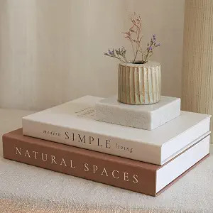 Beautiful Decorative Books - Set of 2 Boxes Enhance Your Coffee Table, Bookshelf or Mantel Shelf ... | Amazon (US)
