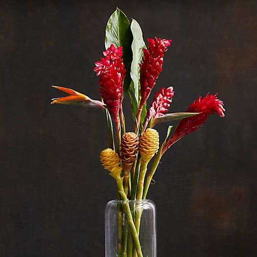 Fresh Ginger + Bird of Paradise Bouquet | Terrain