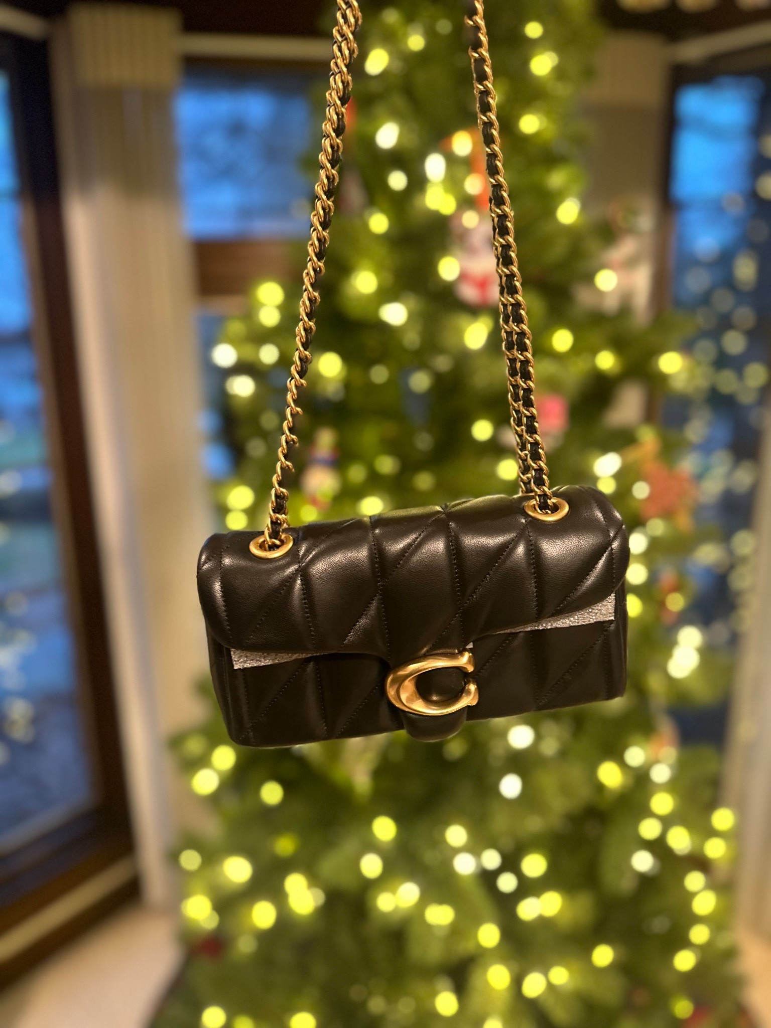 my favorite Christmas gift
Coach purse 