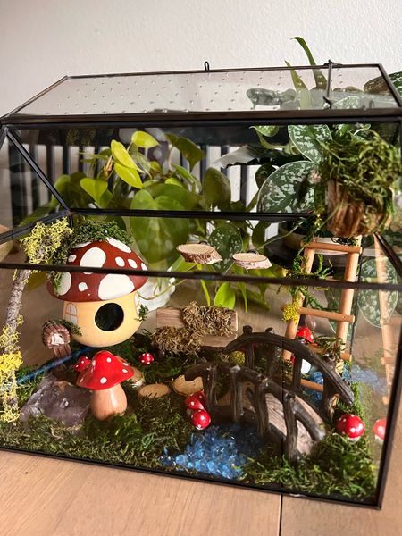 Jumping Spider enclosure 🥹 I wasn’t able to link some items due to them being from Hobby Lobby ! If you have any questions find me on IG @crafty.nes #jumpingspider #regalspider #spooder 