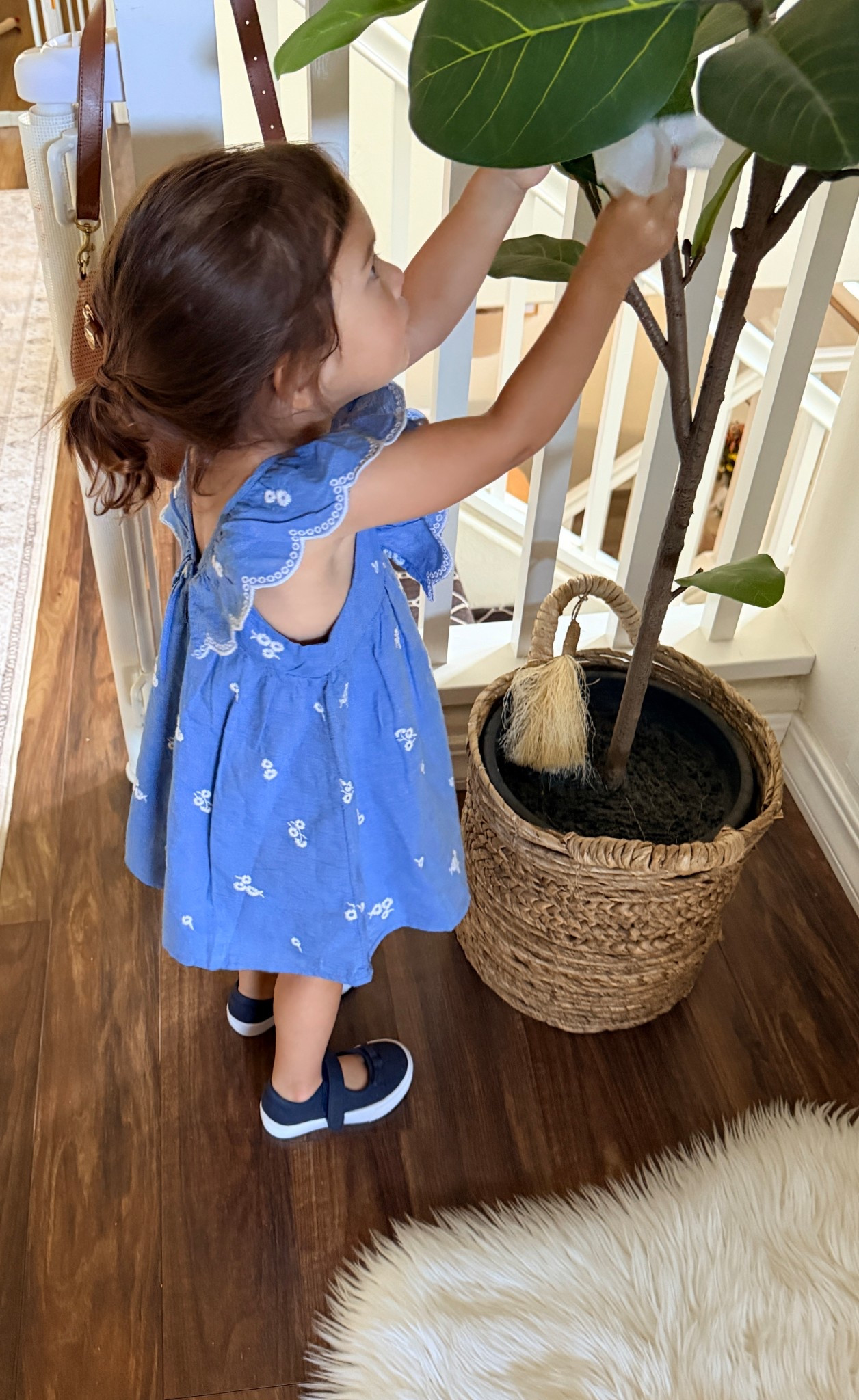 Toddler spring dress | I found the cutest spring dress for my two year old daughter and had to share this and other similar styles and colors 

#LTKKids