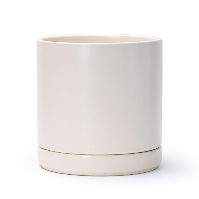 D'vine Dev 8 Inch Ceramic Planter Pot with Drainage Hole and Saucer, Indoor Cylinder Round Plante... | Amazon (US)