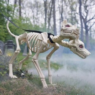 Animated Two Headed Skeleton Dog | Grandin Road