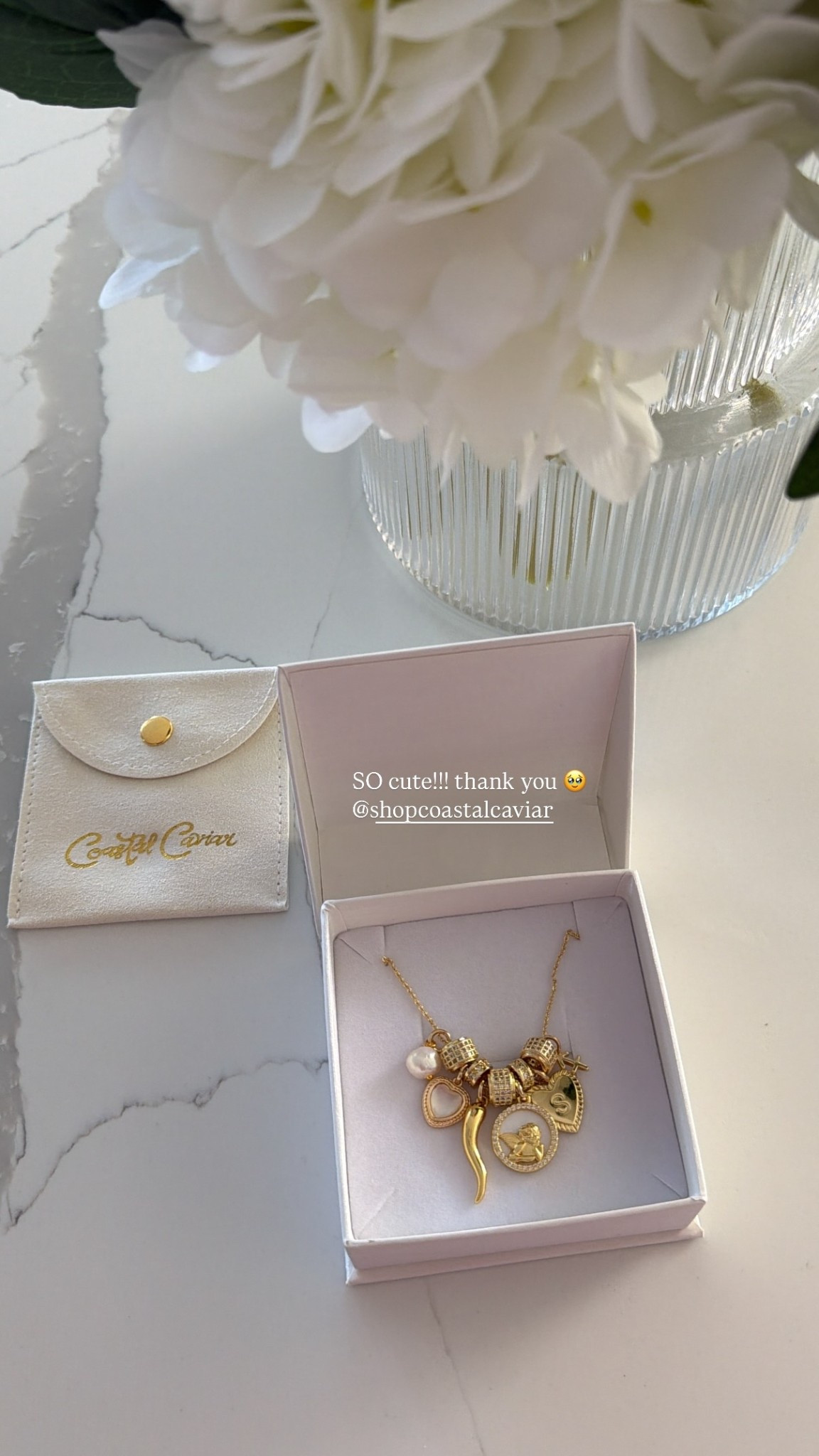 SO cute!!! thank you 🥹 @shopcoastalcaviar

#LTKBeauty #LTKGiftGuide #LTKHoliday