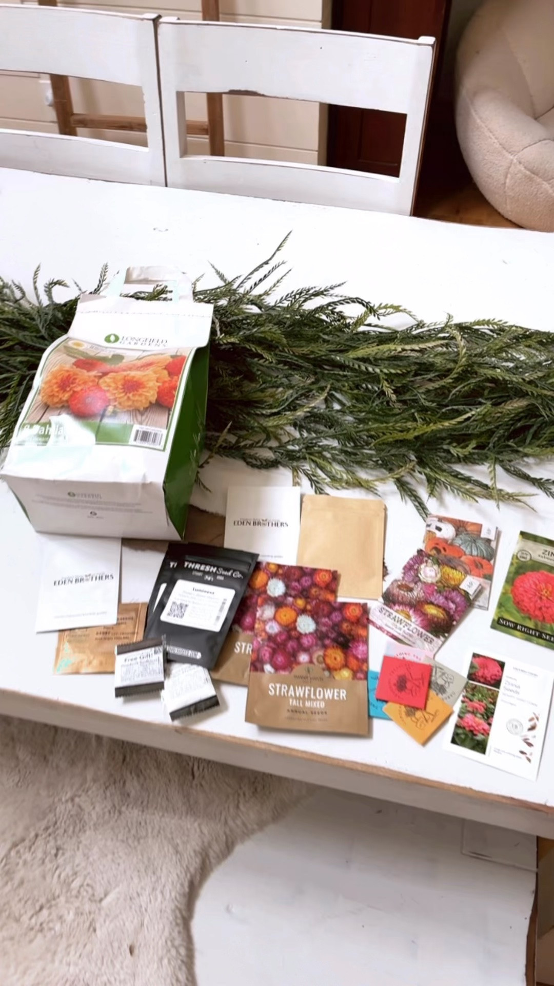 Gardening Seeds

#LTKSeasonal #LTKHome #LTKmomlife