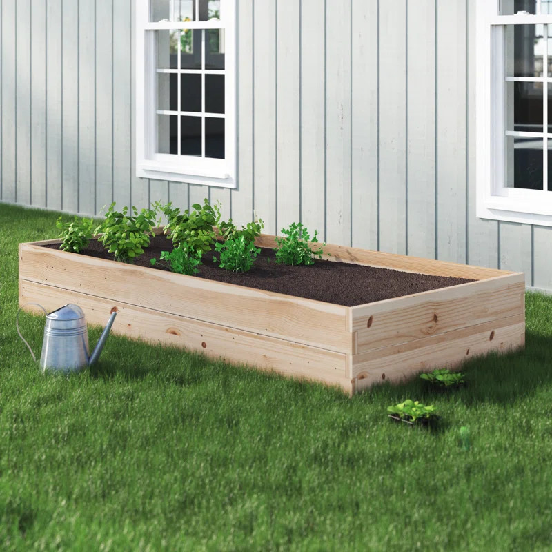 Buckingham 6 ft x 3 ft Wood Raised Garden Bed | Wayfair North America