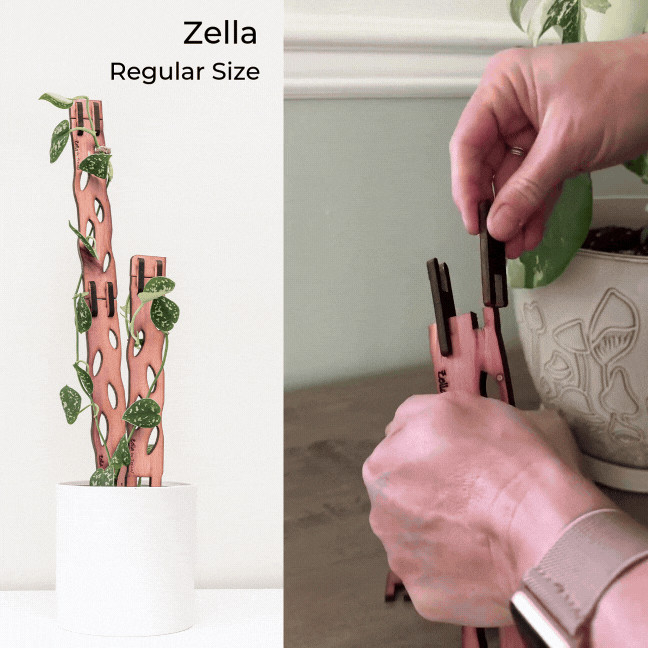 Wholesale Partner: Treleaf - Zella - Wooden Extendable Plant Support | Sol Soils