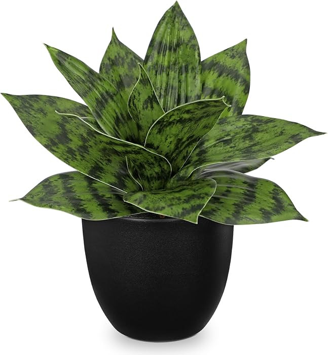 Hollyone Artificial Snake Plants 9" Faux Agave Succulent Plant Potted in Black Pot Fake Sansevier... | Amazon (US)