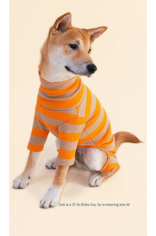 Little Beast Peanut Butter Pet Onesie Over 25lbs in Orange & Camel from Revolve.com | Revolve Clothing (Global)