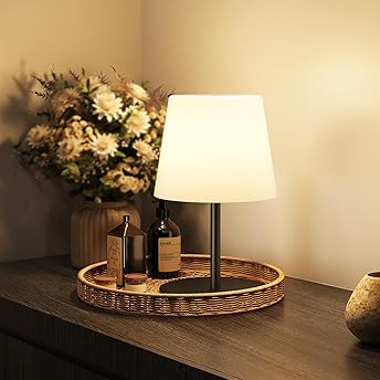 Lamp Led Light | Amazon (US)