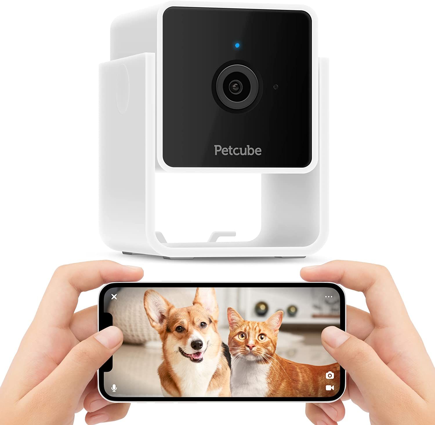 Petcube Cam Indoor Wi-Fi Pet and Security Camera with Phone App, Pet Monitor with 2-Way Audio and... | Amazon (US)