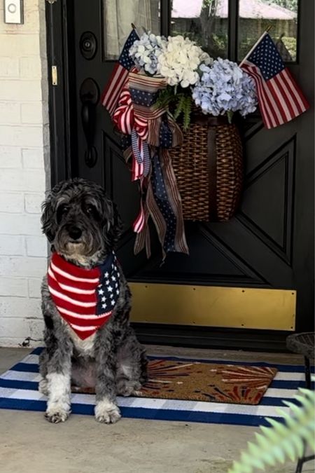 4th of July porch decor, hanging basket, red white and blue inspo, patriotic decor, Independence Day decor, front porch decor and inspo

#LTKsalealert #LTKhome #LTKSeasonal