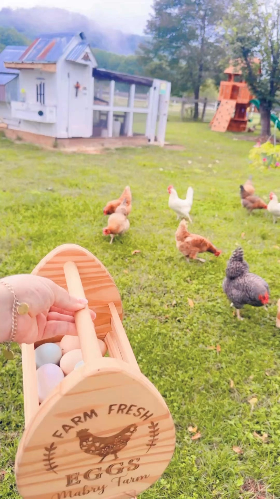 And nothing we love more than a truly farm fresh 🌾 breakfast 🍳 with eggs 🥚 collected 🧺 from our ladies!! 🐓