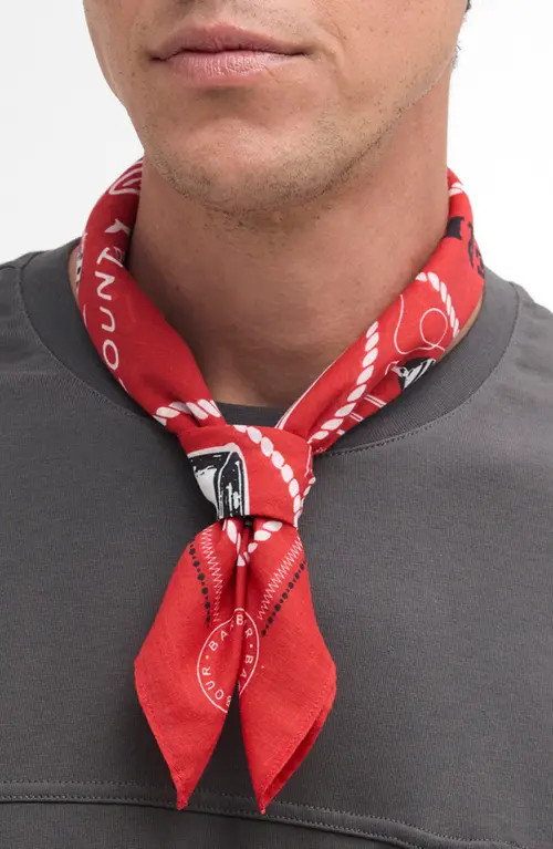 Barbour Heritage Print Cotton Bandana Scarf in Red at Nordstrom | Nordstrom
