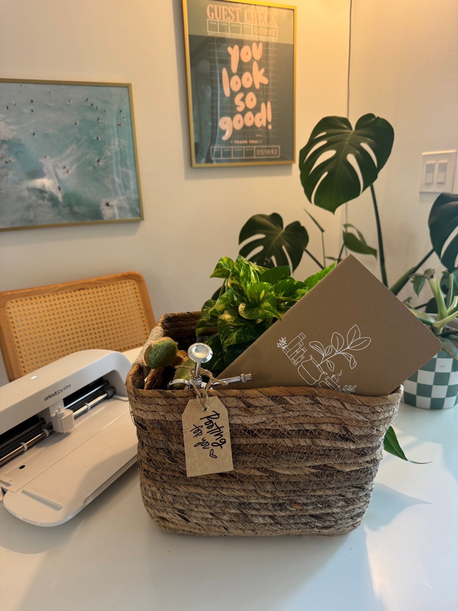 Plant Parent Starter Kit! With Cricut 🪴✨ 

#LTKHome