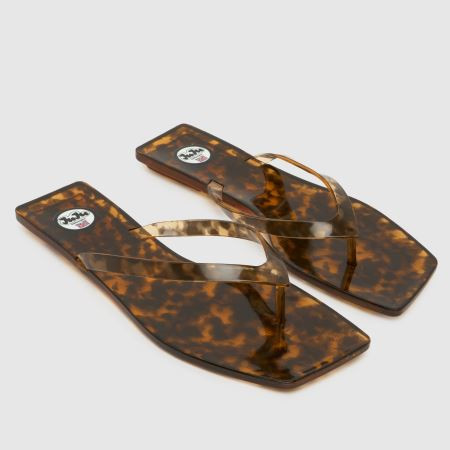 Womens Brown JUJU JELLIES Nikki Flip Sandals | schuh | Schuh