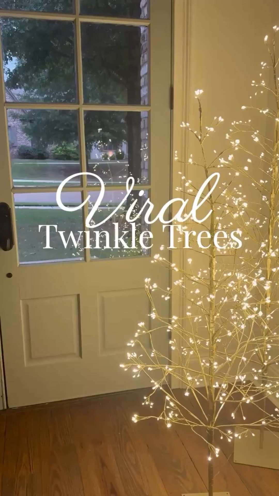 ✨The viral twinkle trees everyone’s talking about!✨ Available in three sizes, these Walmart finds add the perfect soft sparkle to porches, entryways, or beside your tree. Style them solo or cluster all three for that layered glow everyone’s obsessed with — but hurry, the magic won’t last long. 💫🎄

#WalmartFinds #ChristmasDecor #TwinkleTrees #HolidayHome #SavvySouthernHome #ViralChristmasDecor #CozyChristmas #GrandmillennialChristmas #christmas 

Comment SHOP below to receive a DM with the link to this post on my LTK ⬇ https://liketk.it/5qhiP #ltkseasonal #ltkhome #ltkstyletip