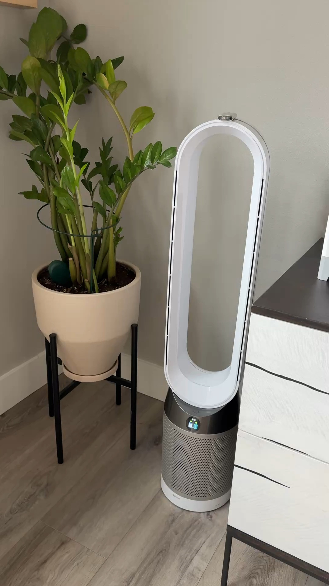 Dyson Air Purifier 

#LTKSpringSale #LTKHome