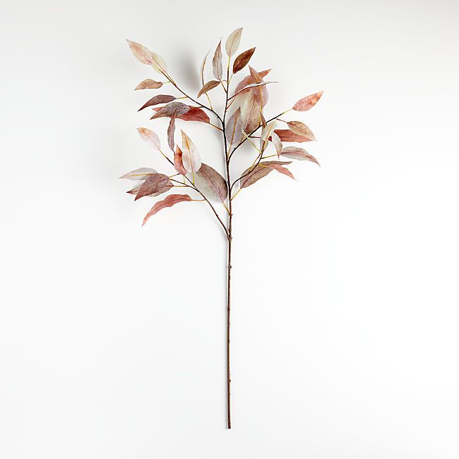 Faux Willow Eucalyptus Stem + Reviews | Crate & Barrel | Crate & Barrel