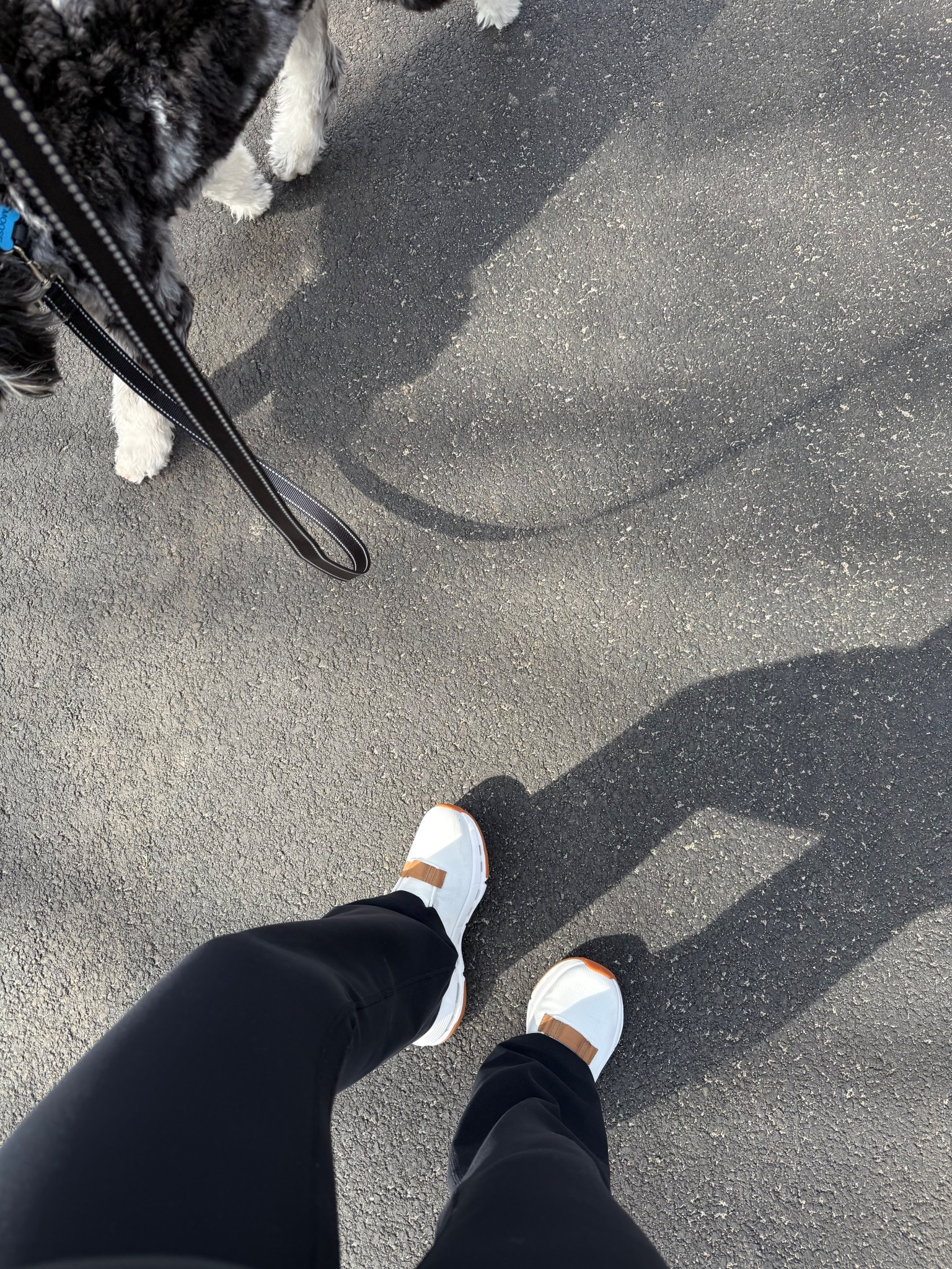 My new favorite walking shoes! Worth all the hype! 

Sneakers, activewear, casual shoes



#LTKfitnessgoals #LTKSeasonal #LTKActive