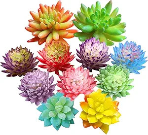 Zhiheng 11PCS Assorted Multicolor Artificial Succulent Plants Textured Cactus Aloe Succulent in D... | Amazon (US)