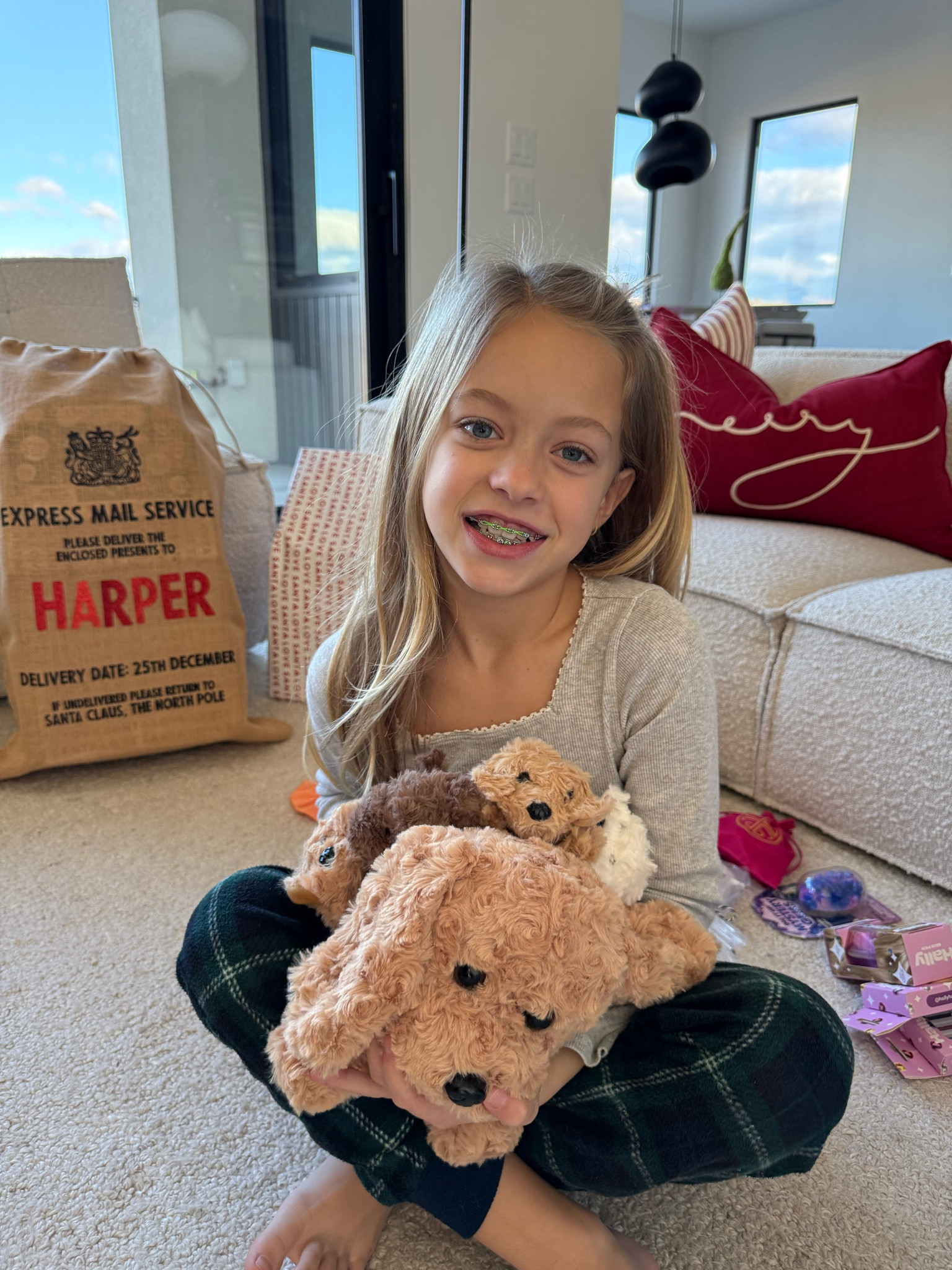 Harper was so excited about this puppy stuffed toy!!