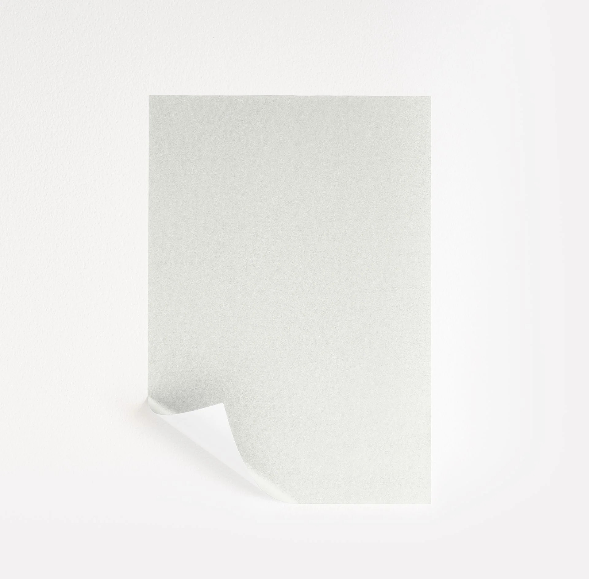 Distant Gray Paint Sample by Benjamin Moore (2124-70) | Peel & Stick Paint Sample | Samplize