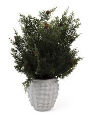 Bushy Pine Stems In Knotted Vase | Marshalls