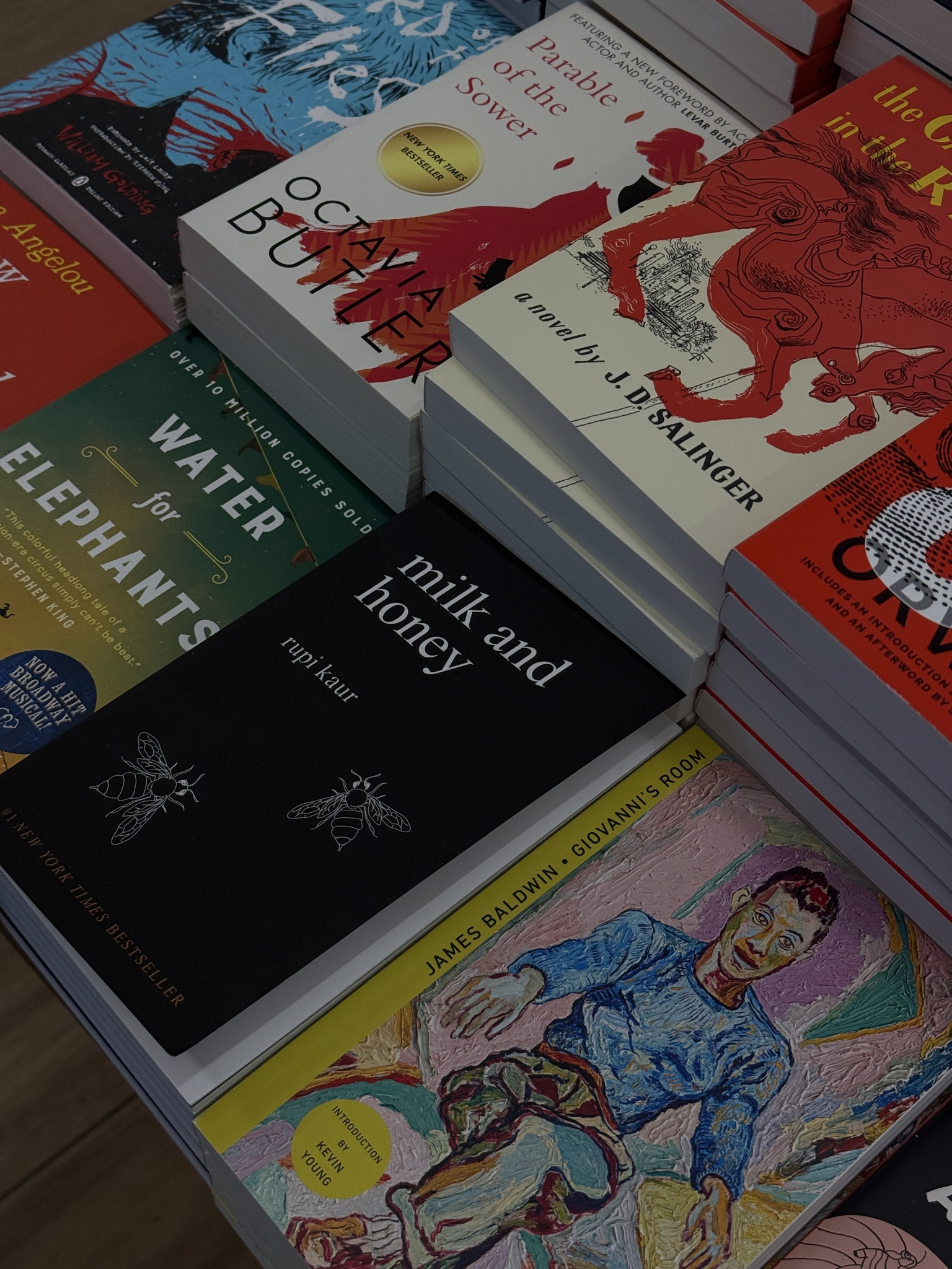 One of the banned books I’ve loved and highly recommend: Parable of the Sower. Powerful, thought-provoking, and more relevant than ever.

Another important banned book worth reading: Giovanni’s Room by James Baldwin. A beautifully written, emotional classic that deserves a place on every shelf.

#LTKbooks #BannedBooks #OctaviaButler #DystopianReads #ReadersOfLTK #JamesBaldwin #classicliterature #booktok 


#LTKHome #LTKdayinmylife #LTKSpringSale
