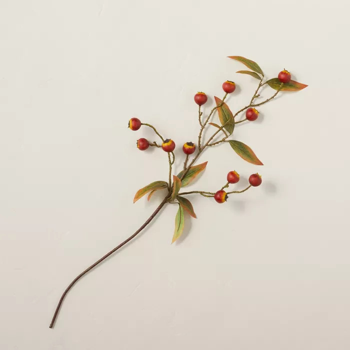 25" Faux Pomegranate Plant Stem - Hearth & Hand™ with Magnolia | Target