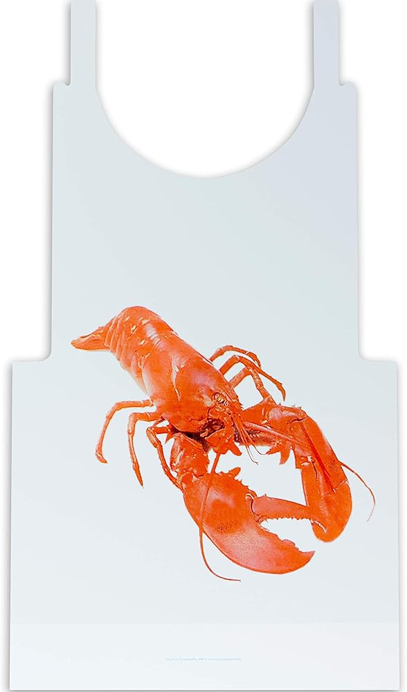 Avant Grub Heavy Duty, Lobster Bibs 25 Pack. Large, Disposable Plastic Tie-Back Bib for Adults. P... | Amazon (US)