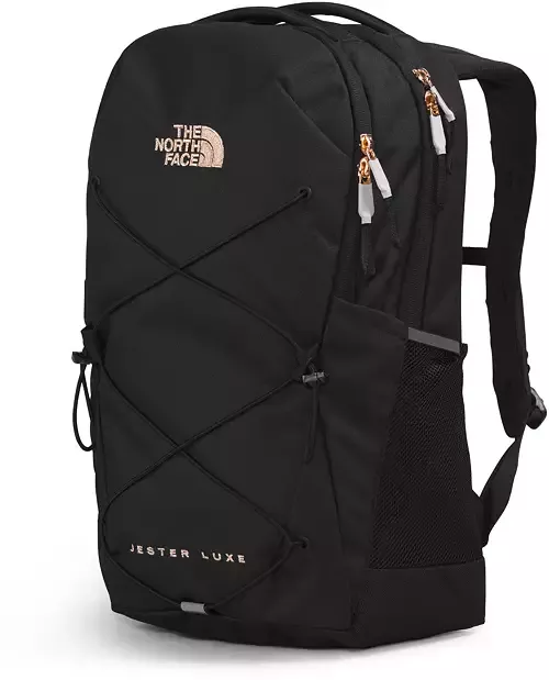 Dicks sporting goods north cheap face backpack