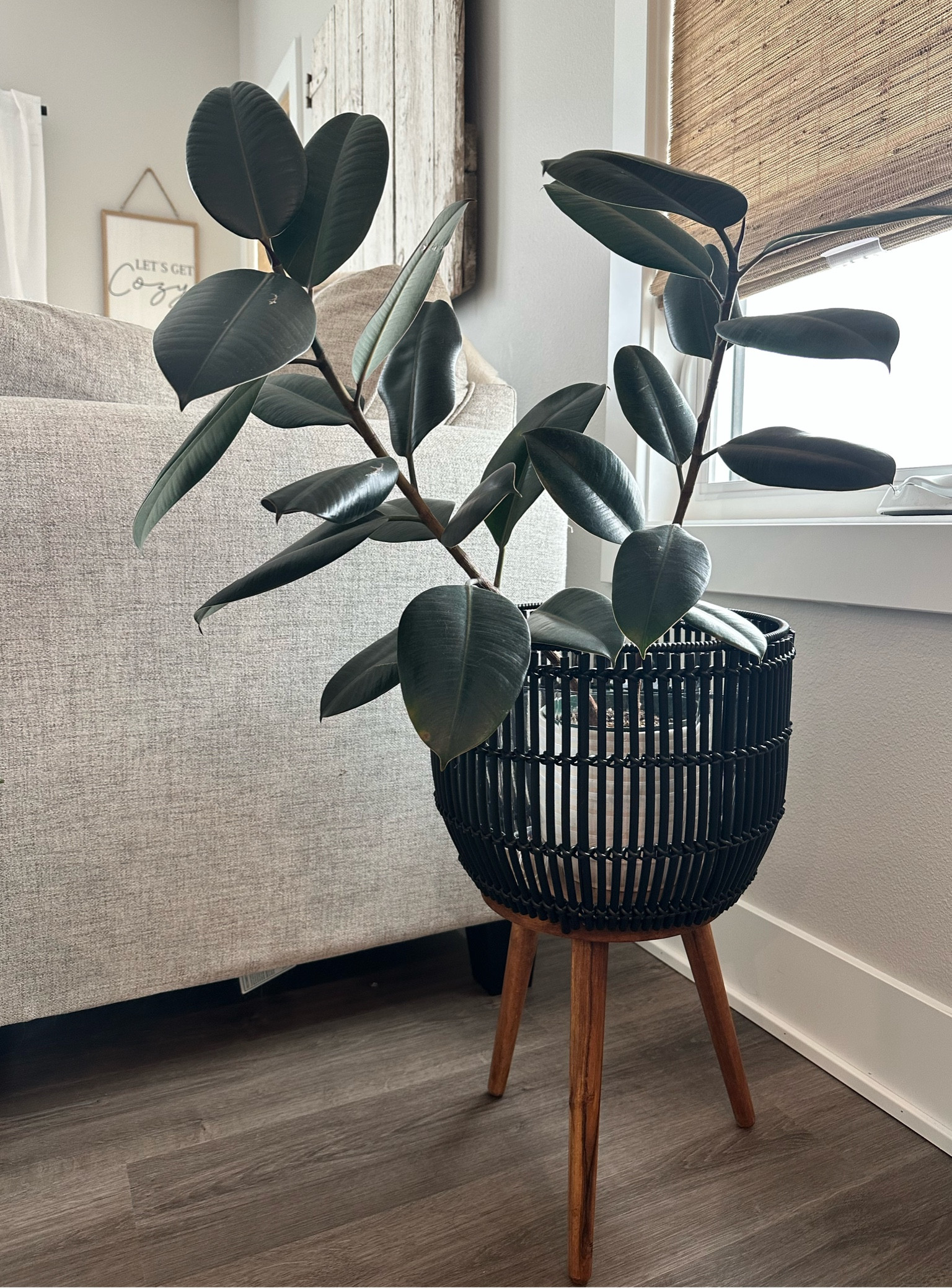 working on alllllll the home projects this weekend. starting with my plant babies + THIS PLANT STAND 😍 — comes in two styles + is under $30 

#llbychelshome #plantbabies #homedecor #bringonspring

#LTKFind #LTKSeasonal #LTKhome