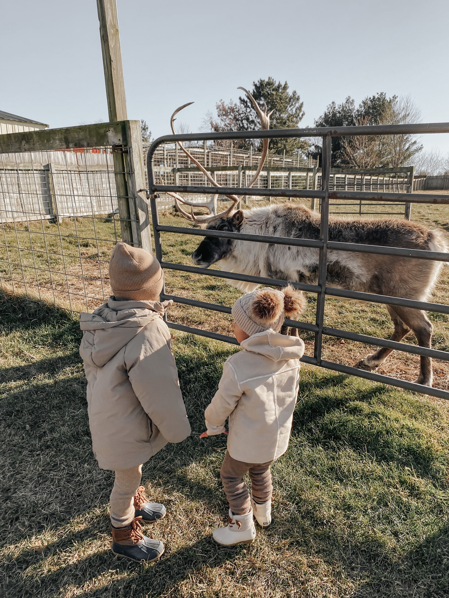 reindeer farm 🤎

#LTKkids #LTKfamily #LTKbaby