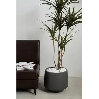 Indoor/Outdoor Large Minimalist Light Cement/ Concrete Lightweight Round Planter Pot - 15, 11 in | Bed Bath & Beyond