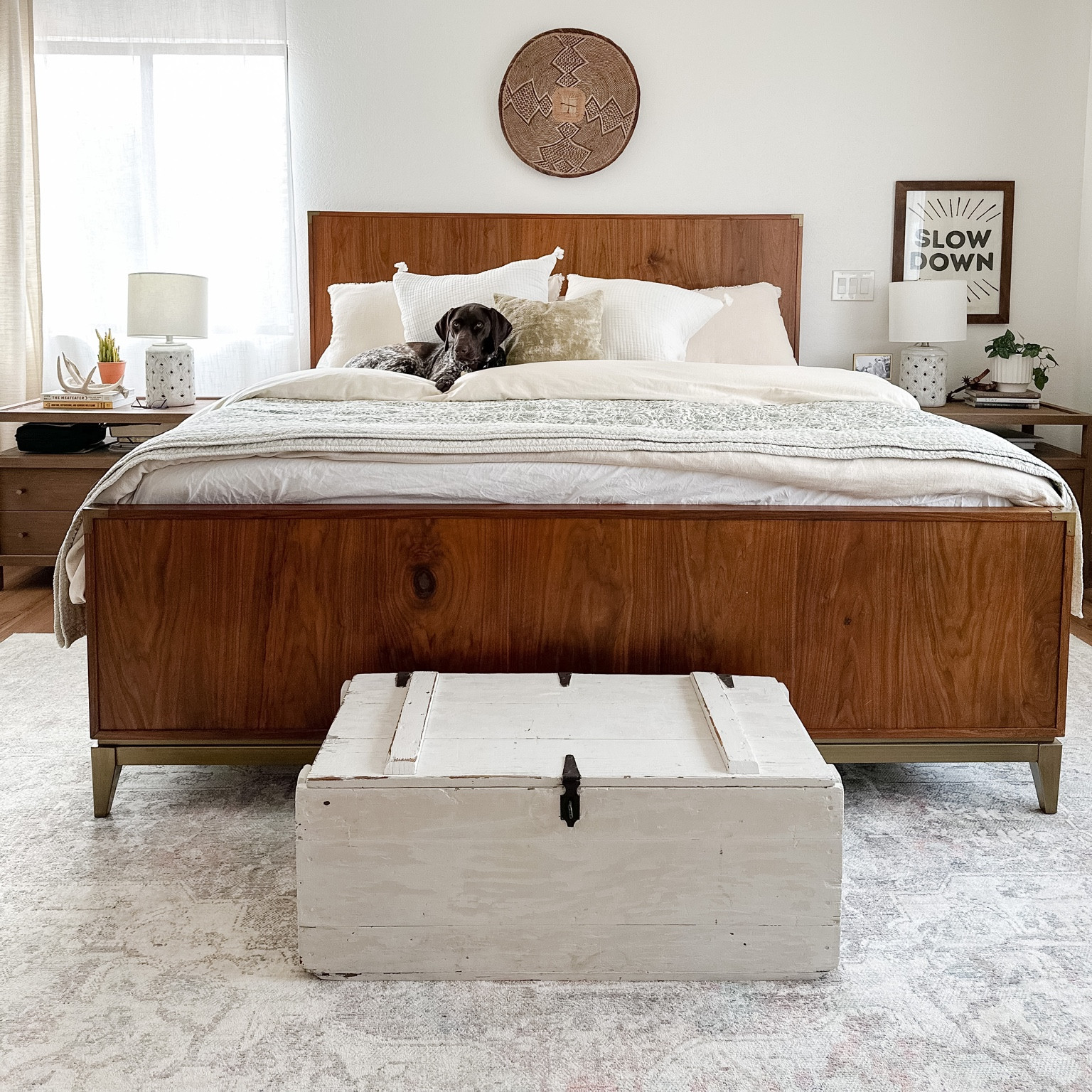 Everything linked! (Dog not included 😚)