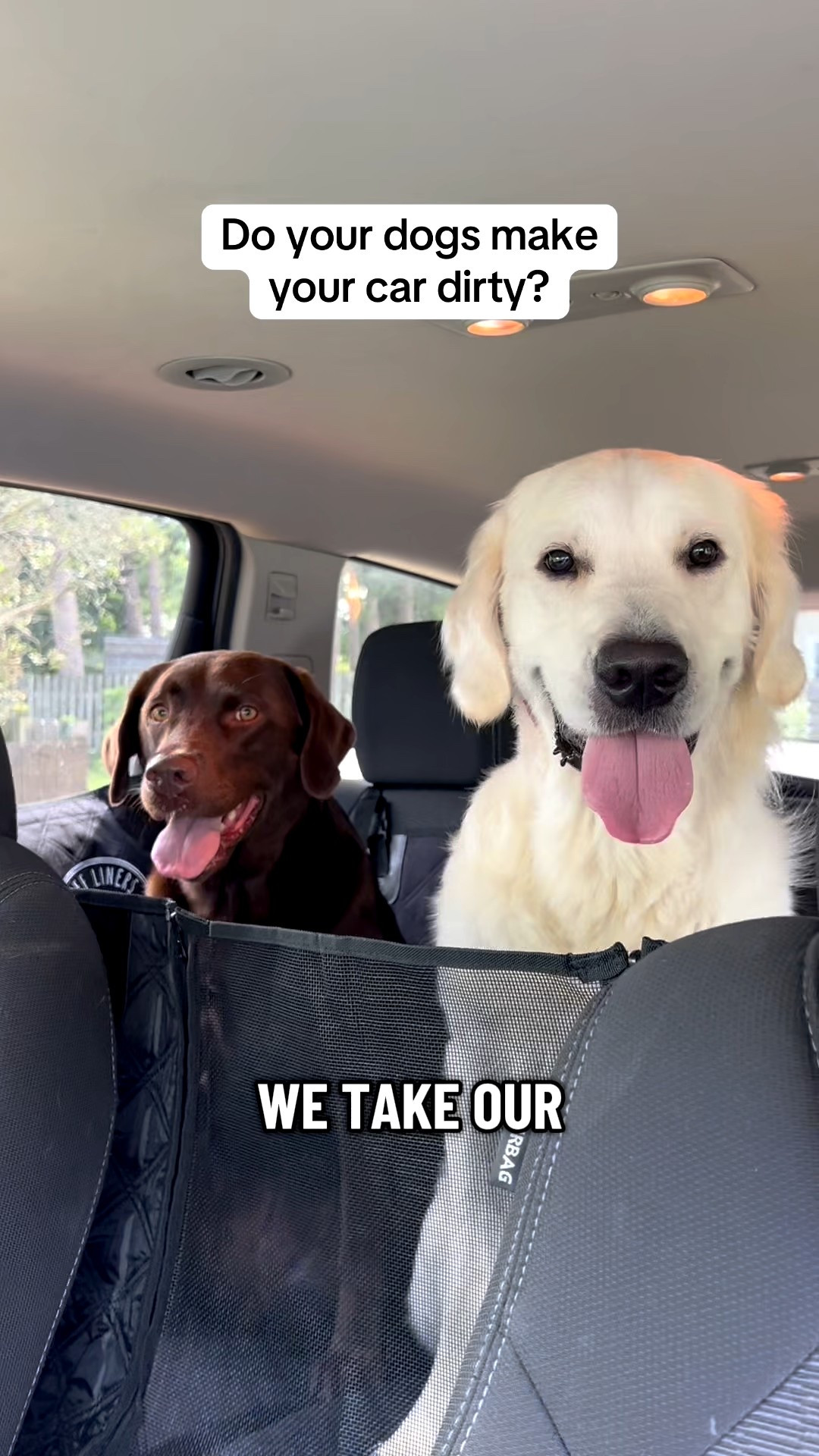 This dog car liner covers the ENTIRE BACKSEAT and is so easy to install and also to take off if needed!

#dogcarrides #dogproducts #dogessentials

#LTKPets #LTKTravel