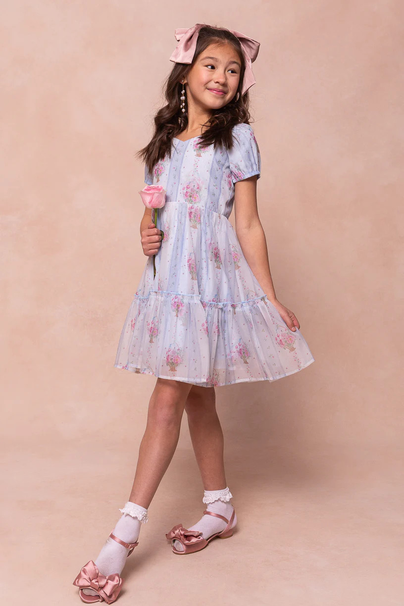 Mini Ever After Dress in Blue | Ivy City Co