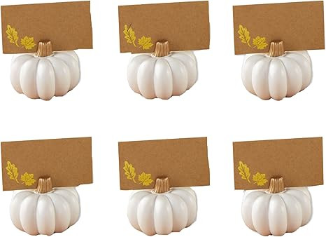 Kate Aspen Rustic Pumpkin Table Décor, Thanksgiving, Fall Themed Weddings, White | Amazon (US)