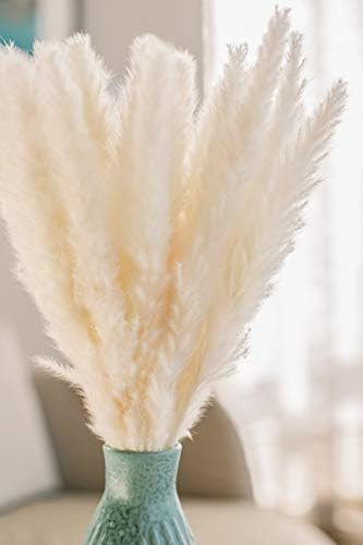 Doloni Dried Pampas Grass Bouquet | 30pcs 17 inches Tall White Pampas Grass Plants Bundle | Fluff... | Amazon (US)